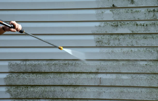 Best Certified Mold Removal  in Mount Vernon, WA