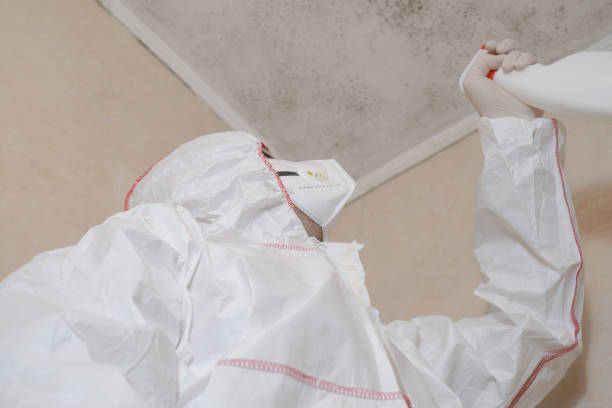 Mount Vernon, WA Mold Removal Company