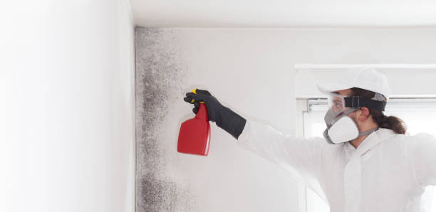 Best Mold Testing  in Mount Vernon, WA